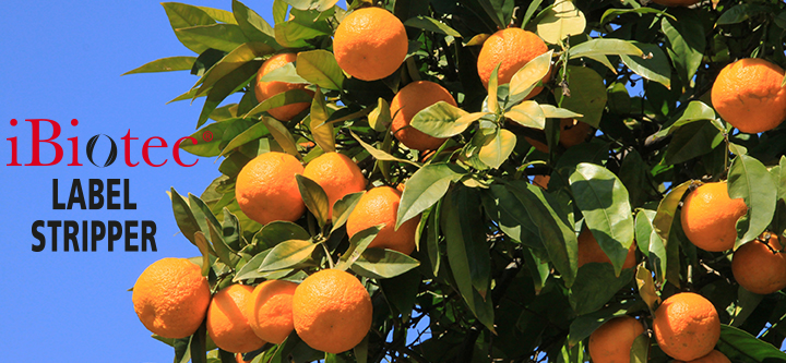 基于Citrus Asensis的天然可再生溶剂，用于除去标签和贴纸。去除标记笔、粘合剂和接触粘合剂的痕迹。标签去除剂、标签去除气雾剂、标签去除喷雾、标签去除喷雾剂，方便去除自粘标签。标签去除喷雾剂。技术喷雾剂。维修喷雾剂。新型溶剂。新溶剂。气雾剂供应商。喷雾剂制造商。二氯甲烷替代品。甲叉二氯替代品。Ch2 cl2替代品。CMR替代品。丙酮替代品。丙酮替代品。NMP替代品。聚氨酯溶剂。环氧树脂溶剂。聚酯溶剂。胶水溶剂。涂料溶剂。树脂溶剂。清漆溶剂。弹性体溶剂。工业保养品